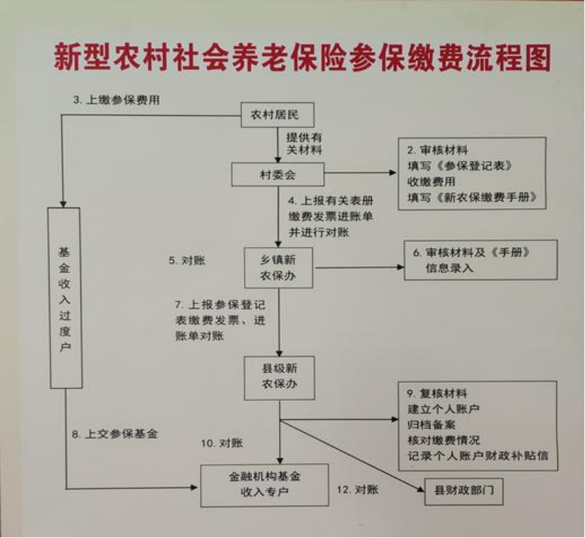 漳州农村医保和社保有什么区别(农村医保跟社保的区别)